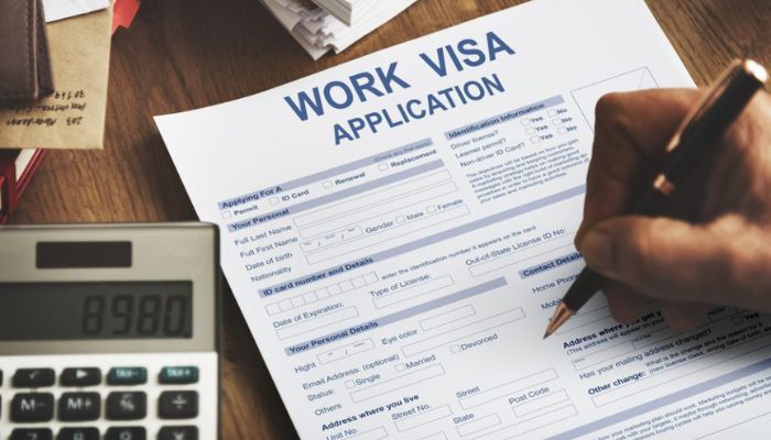 Top 10 Work Visa Pathways for Skilled Professionals In 2024